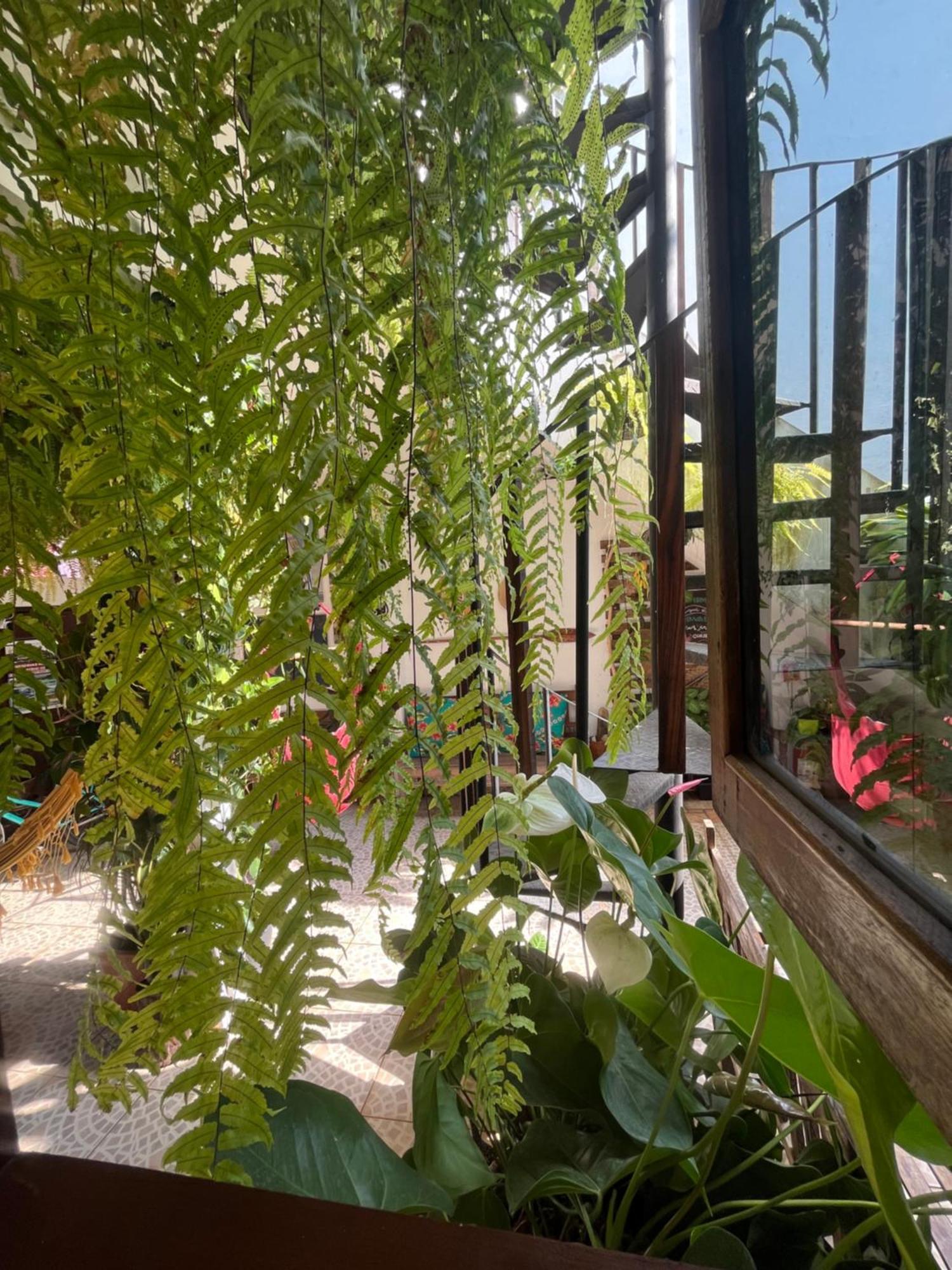Holiday home Caicara
